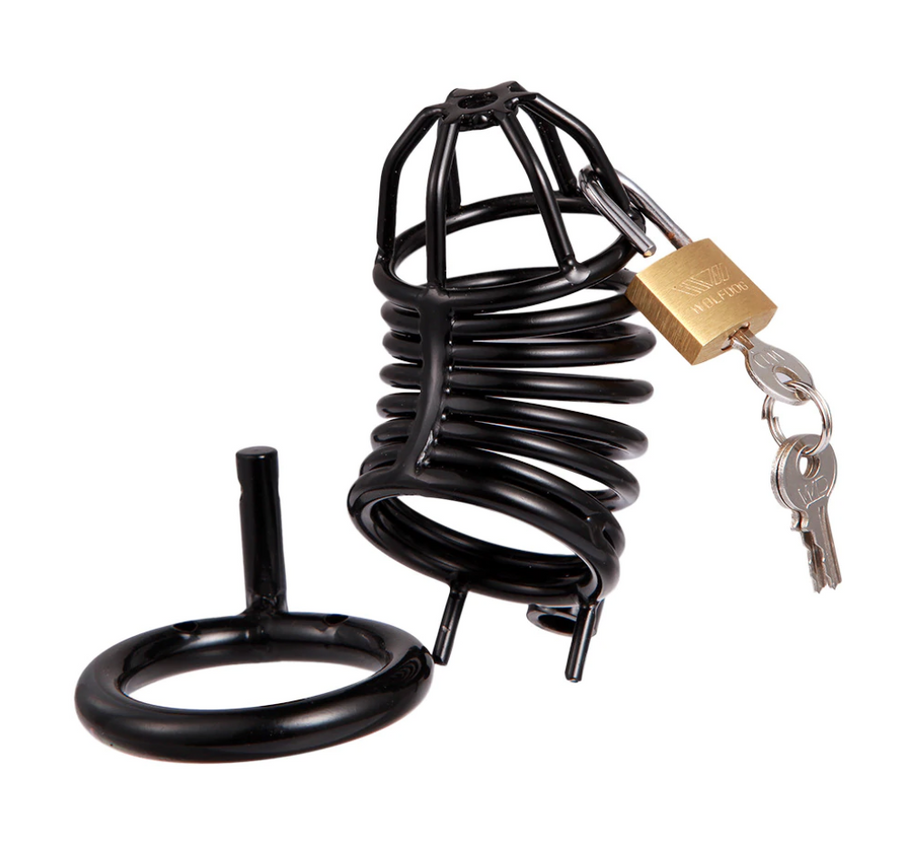 Emma Metal Chastity Device, gallery view 5