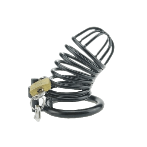 Lillian Metal Chastity Device 3.4 Inches Long, gallery view 3