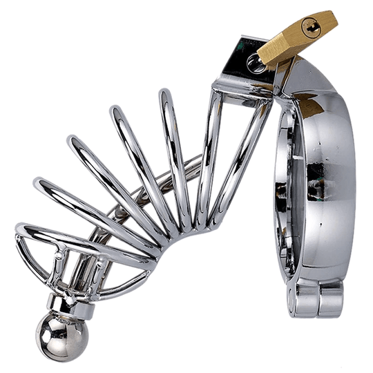 Zoey Caged Ring Metal Chastity Device product view