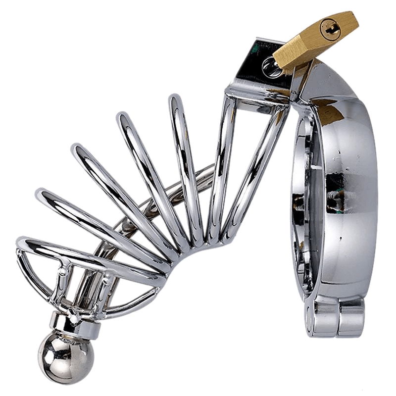 Zoey Caged Ring Metal Chastity Device product view