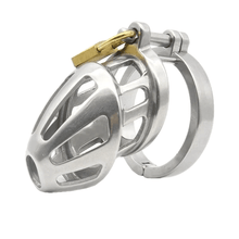 Load image into Gallery viewer, Aubree Male Chastity Device 3.54 inches long
