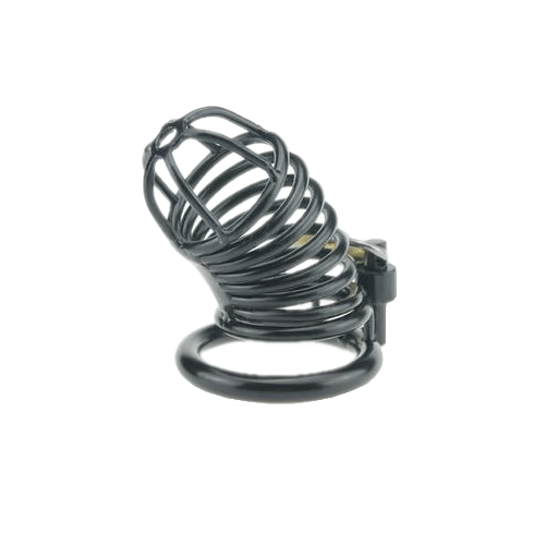 Lillian Metal Chastity Device 3.4 Inches Long, gallery view 4