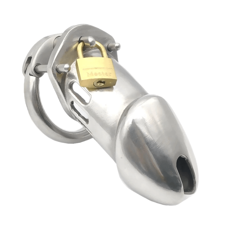Daisy Metal Chastity Device 3.74 inches long, gallery view 3