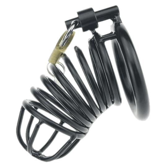 Lillian Metal Chastity Device 3.4 Inches Long product view