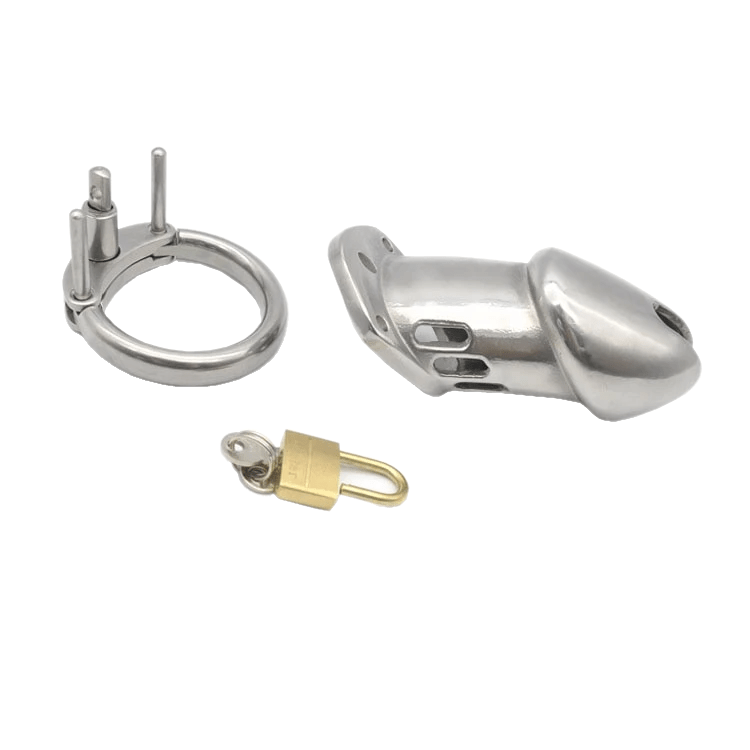 Daisy Metal Chastity Device 3.74 inches long, gallery view 4