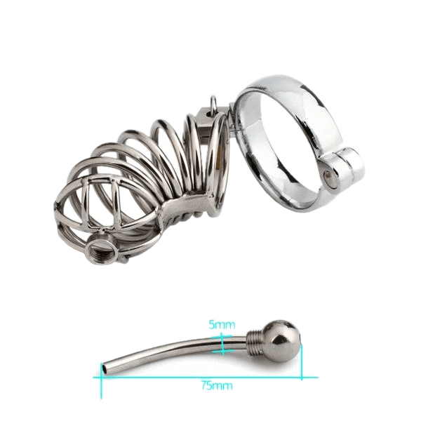 Zoey Caged Ring Metal Chastity Device, gallery view 9