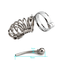 Load image into Gallery viewer, Zoey Caged Ring Metal Chastity Device
