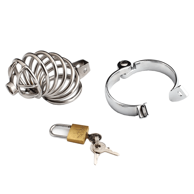 Zoey Caged Ring Metal Chastity Device, gallery view 8