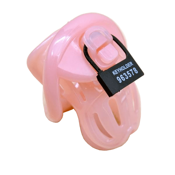 Emily Chastity Device 2.83 inches and 3.46 inches long, gallery view 5