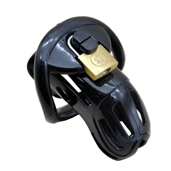 Emily Chastity Device 2.83 inches and 3.46 inches long, gallery view 4