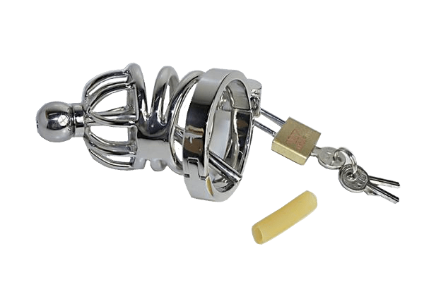 Naomi Chastity Cage 2.36 inches long, gallery view 6