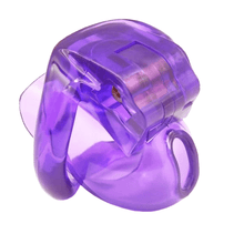 Load image into Gallery viewer, Liliana Male Chastity Device 2.28 inches long
