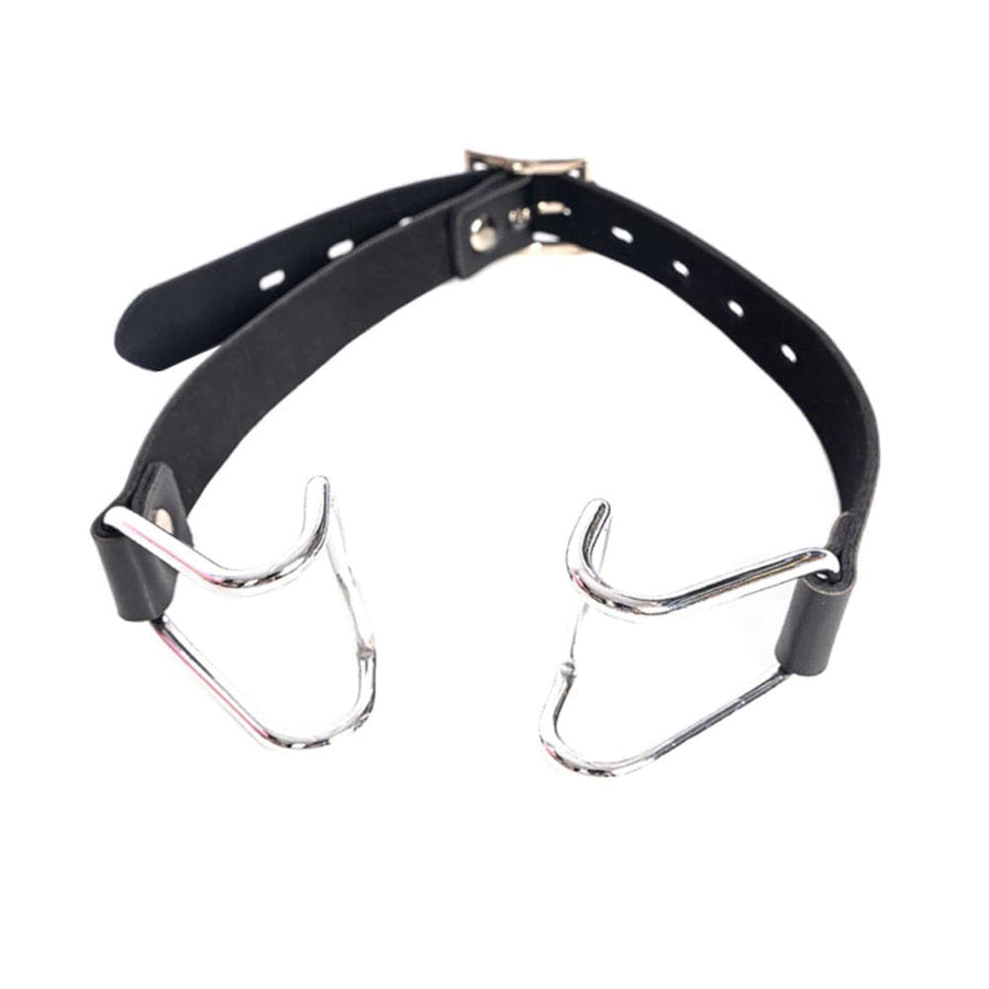 Sadistic Delight BDSM Gag BDSM product view