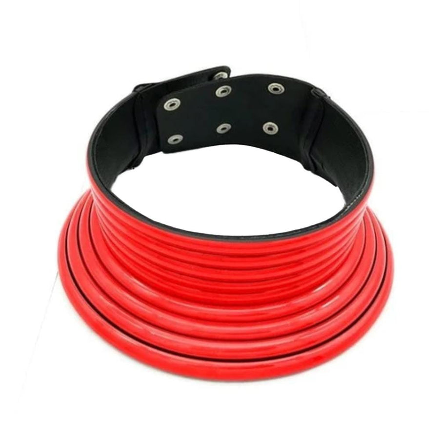 Total Coverage Day Collar product view