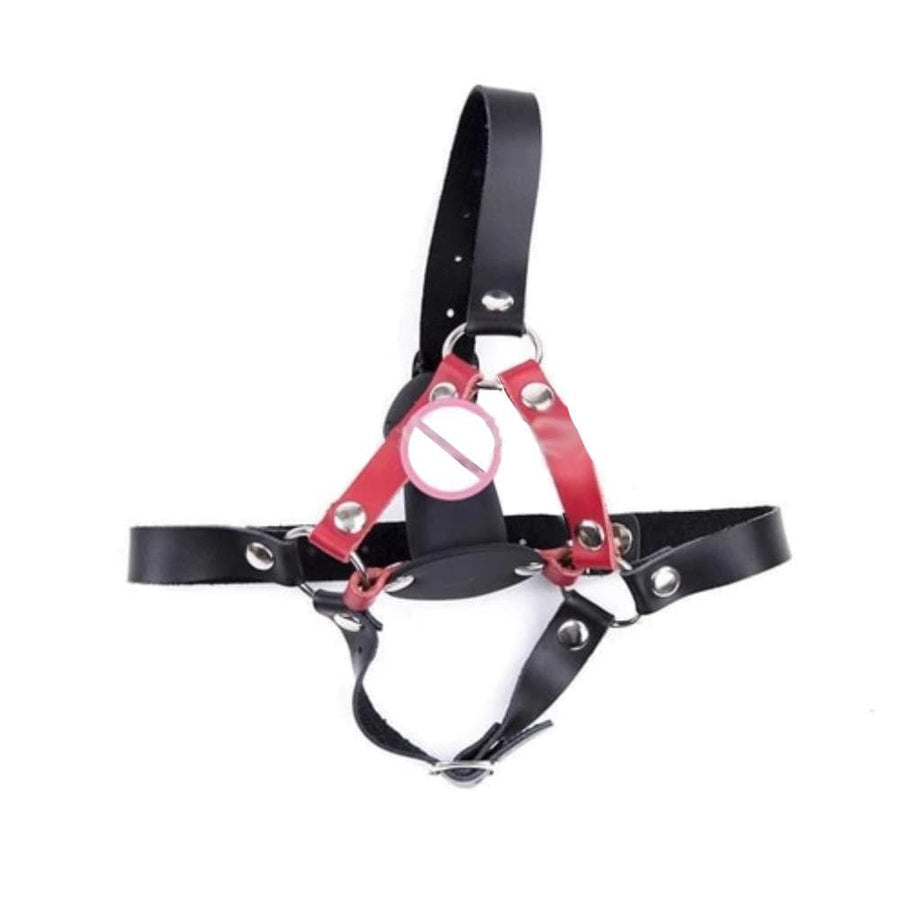 Erotic Dick Gag BDSM product view
