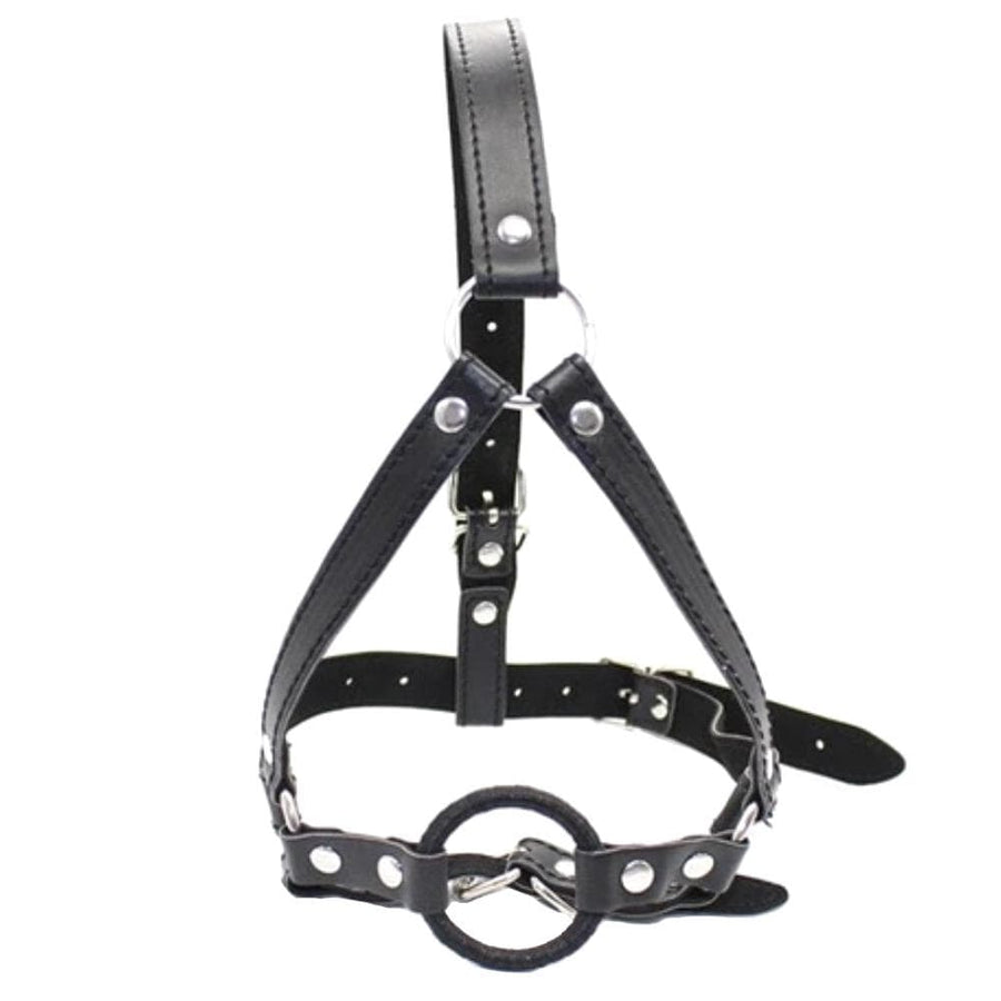 Open Mouth Hole Gag Harness BDSM, gallery view 2