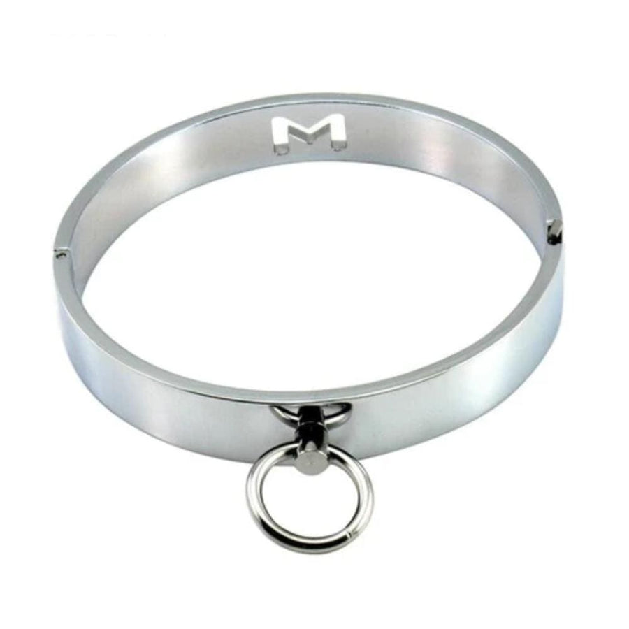 Locking Stainless Steel Eternity Collar, gallery view 2