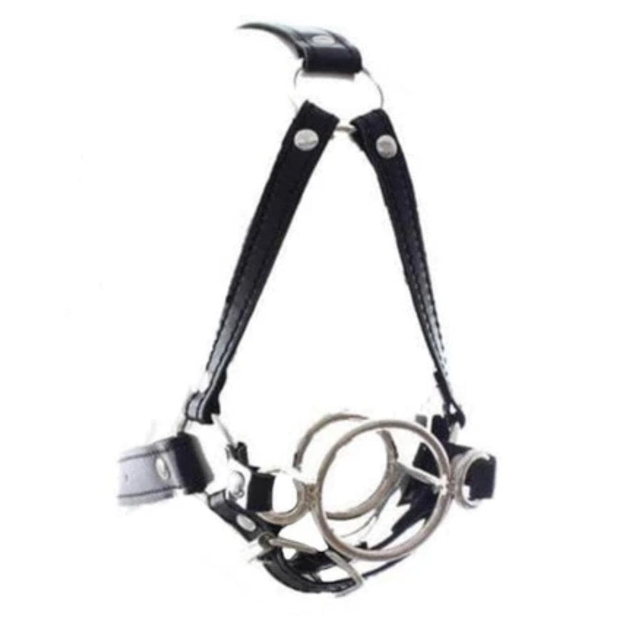 Stainless Throat Gag Harness BDSM, gallery view 2