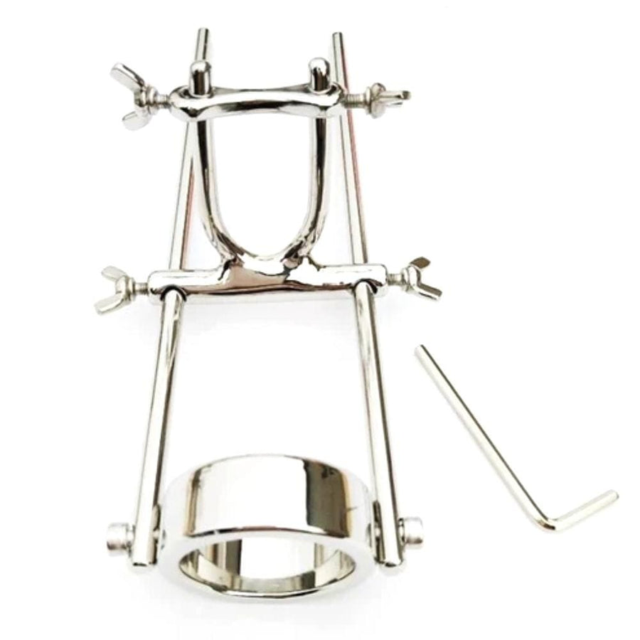 Stainless Monster Cock Stretching Tool BDSM product view