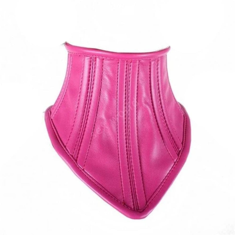 Seductive Leather Posture Collar product view