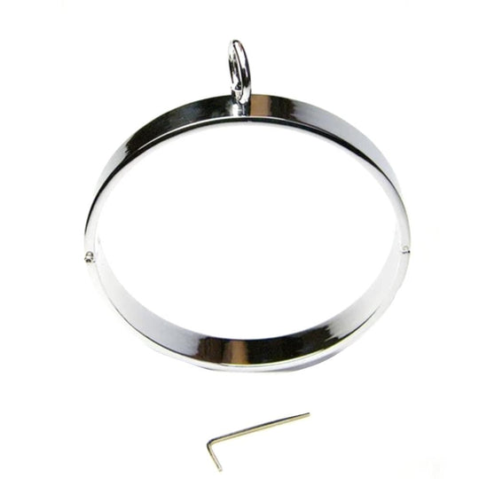 Stainless Steel Slave Neck Shackles BDSM product view