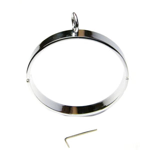 Stainless Steel Slave Neck Shackles BDSM