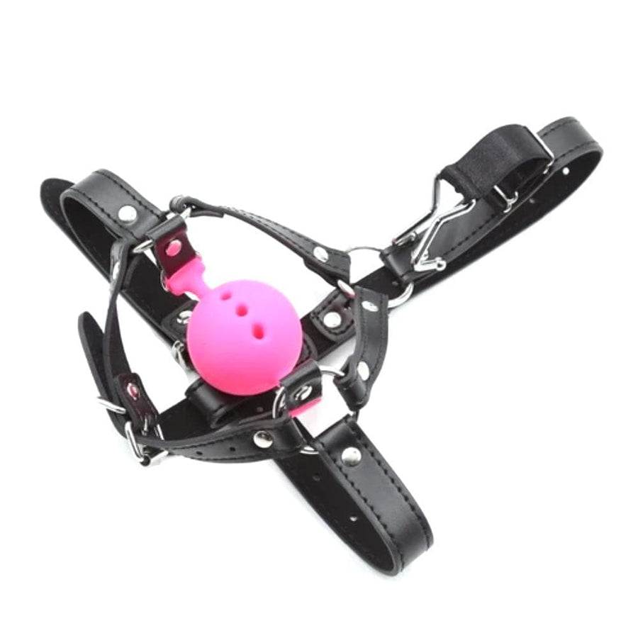 Punishment Fetish Wiffle Ball Gag BDSM, gallery view 2