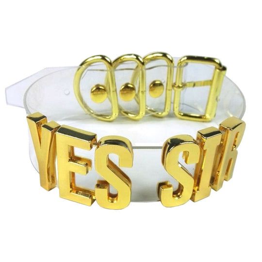 Well-Trained Daddy's Little Girl Collar product view