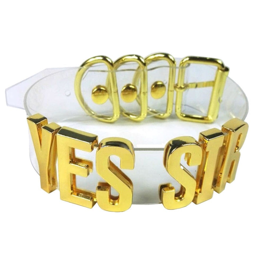 Well-Trained Daddy's Little Girl Collar product view