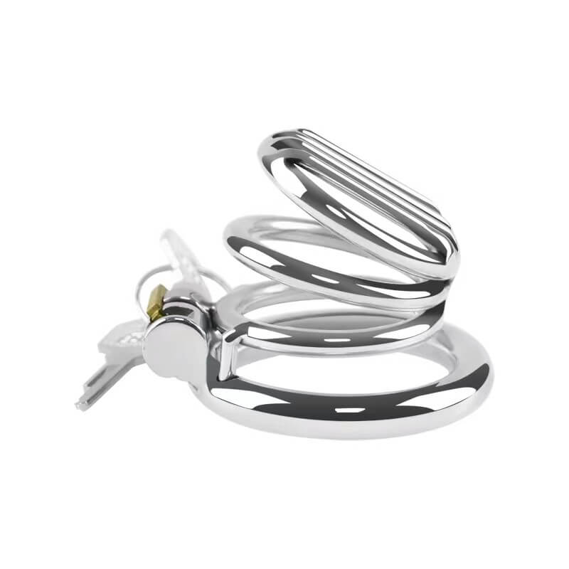 Plate Cage Chastity Device, gallery view 6