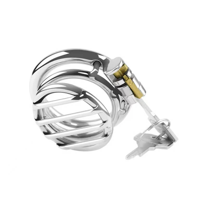Plate Cage Chastity Device, gallery view 4