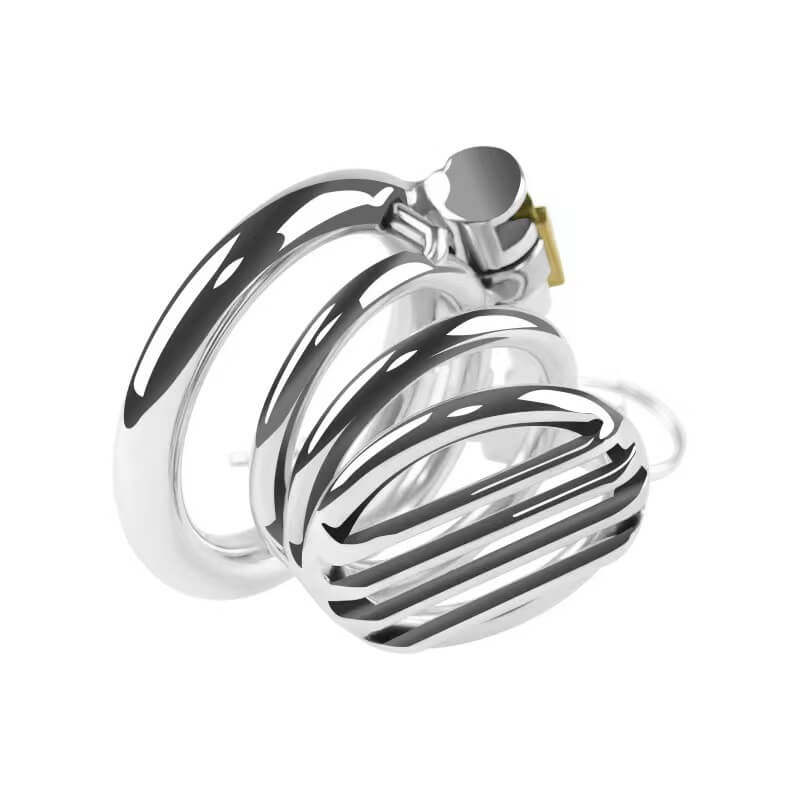 Plate Cage Chastity Device, gallery view 7