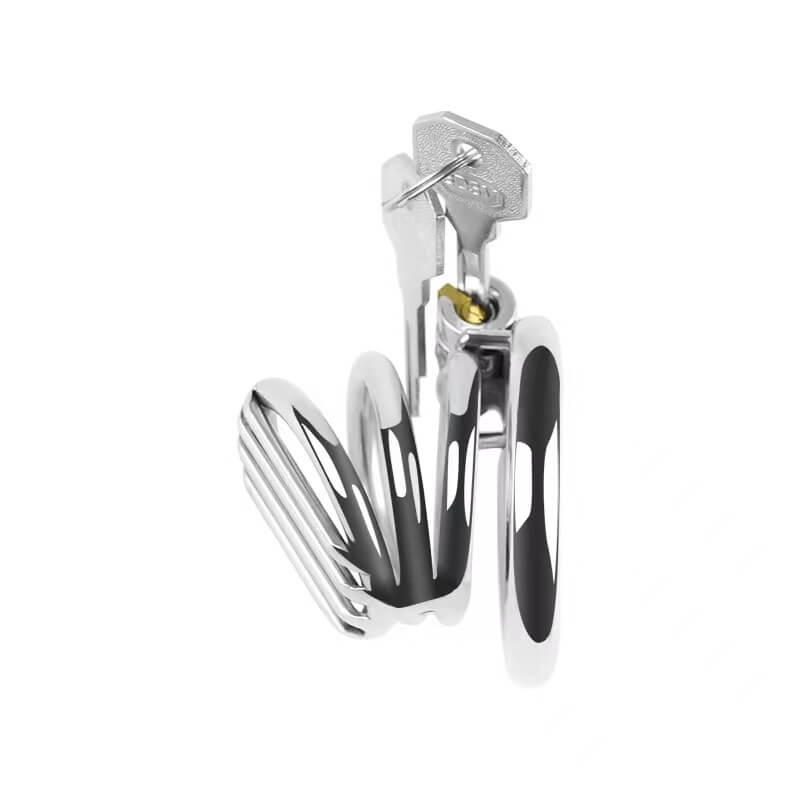Plate Cage Chastity Device, gallery view 5