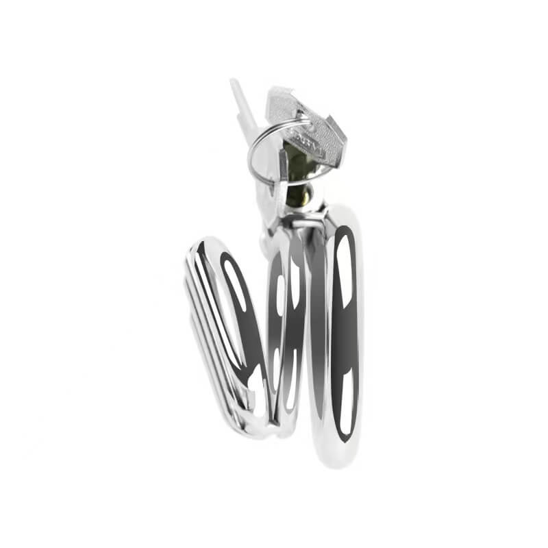 Plate Cage Chastity Device, gallery view 3