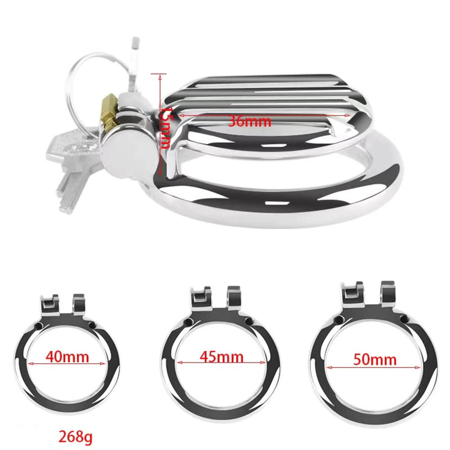 Plate Cage Chastity Device, gallery view 8
