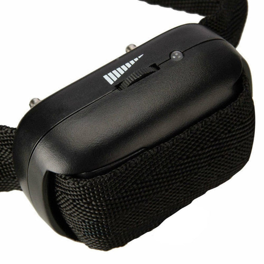 Electric Shock Battery Operated Collar, gallery view 2