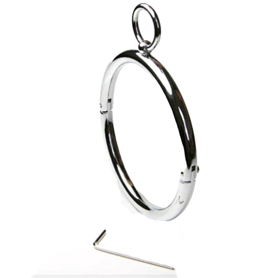 Stainless Heavy Duty Eternity Collar, gallery view 2