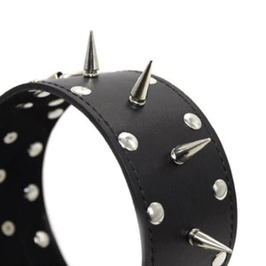 Leather Black Barbed Collar With Leash