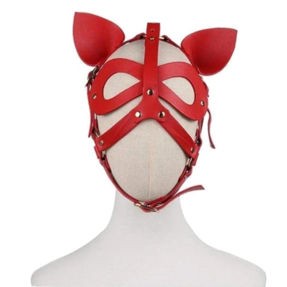 Masque de bondage BDSM pour esclave excité