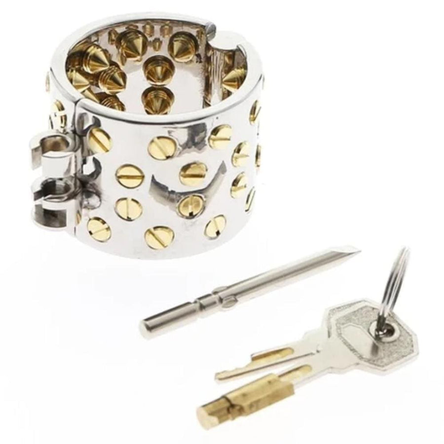 Golden Dick Teeth Torture Device BDSM, gallery view 2