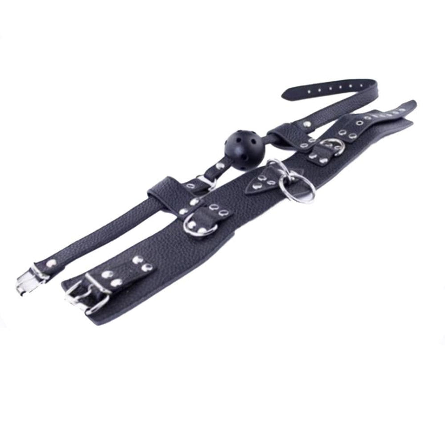 Pure Gag Torture Slave Collar, gallery view 5