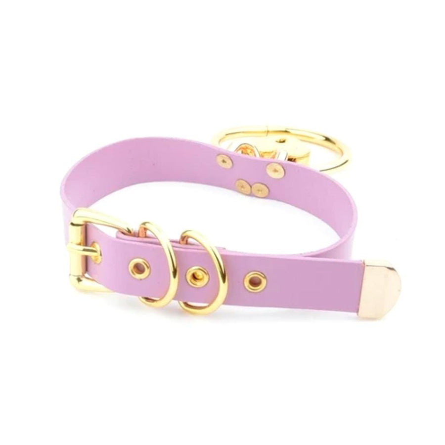 Golden Kawaii Heart Locking Collar, gallery view 2