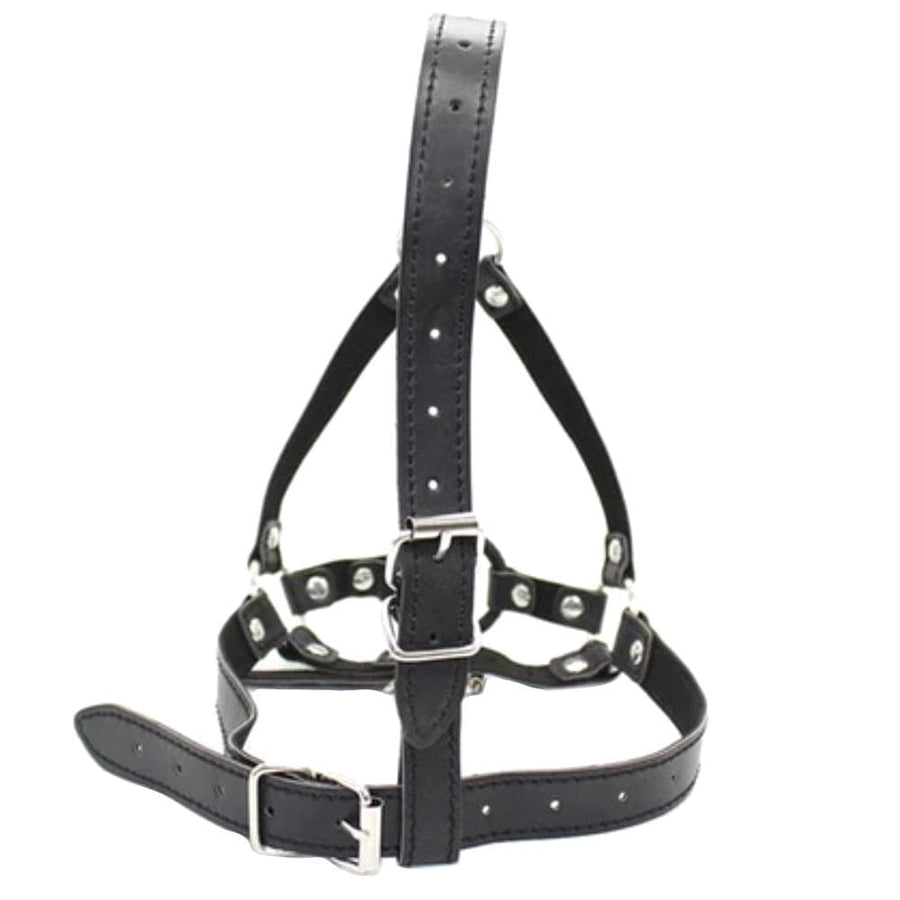 Open Mouth Hole Gag Harness BDSM, gallery view 3