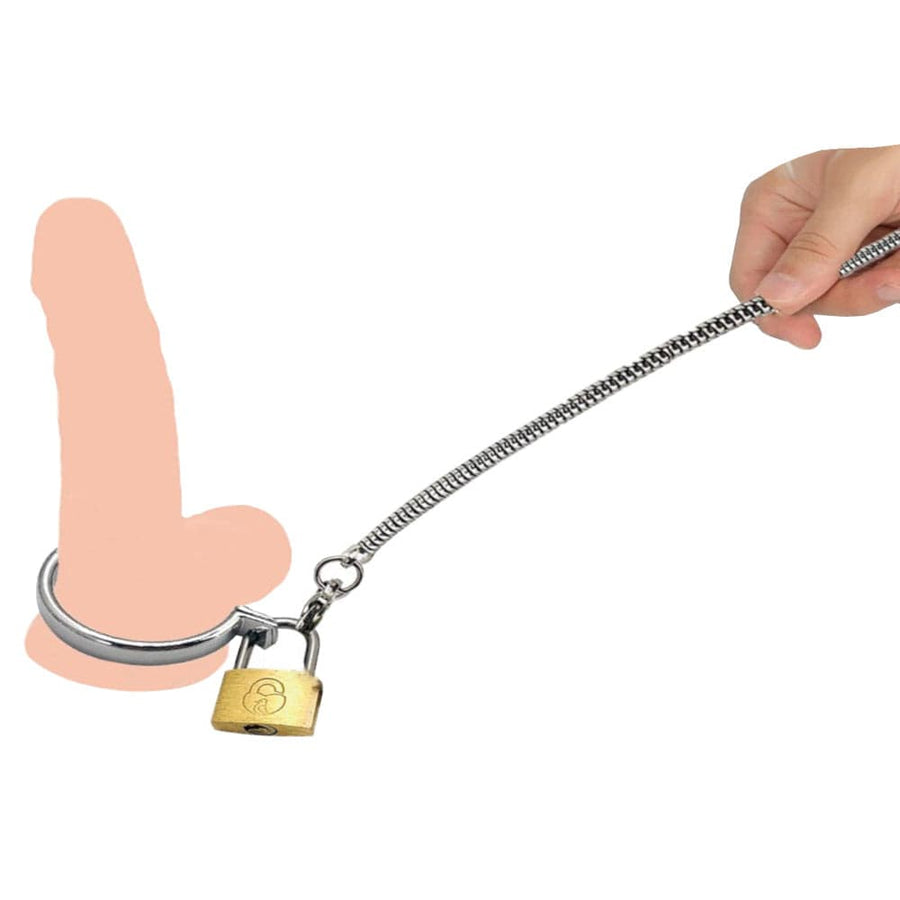 Metallic Cock and Ball Leash BDSM product view