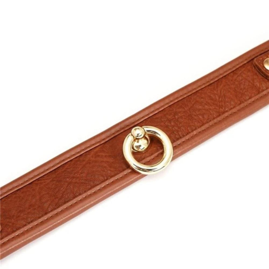 Premium Brown Designer S&M Collar, gallery view 5