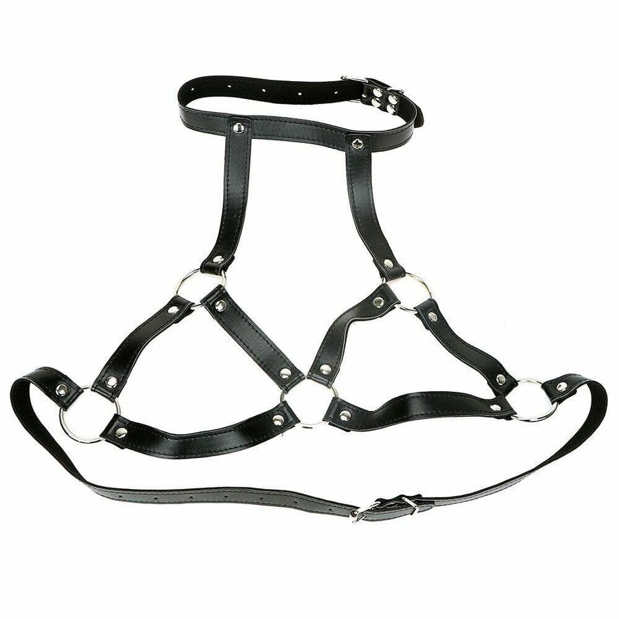 BDSM Versatile 3 in 1 Ring Gag, gallery view 3
