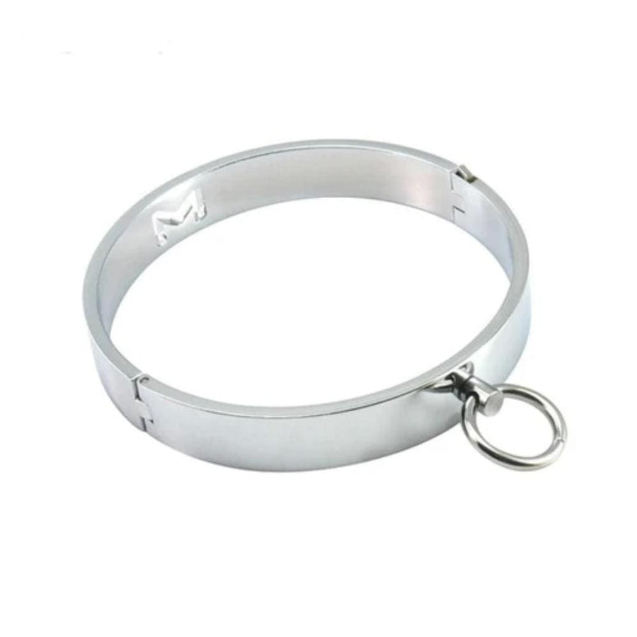 Locking Stainless Steel Eternity Collar, gallery view 3
