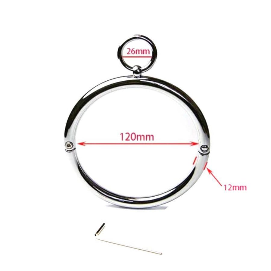 Stainless Heavy Duty Eternity Collar, gallery view 4
