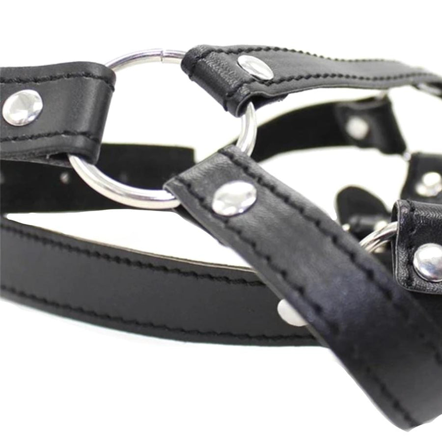 Open Mouth Hole Gag Harness BDSM, gallery view 4