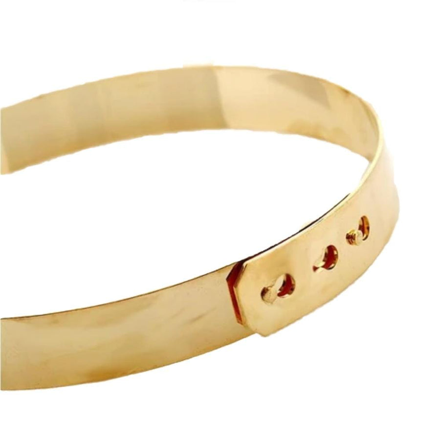 Mirror Finish Gold Metal Collar, gallery view 3